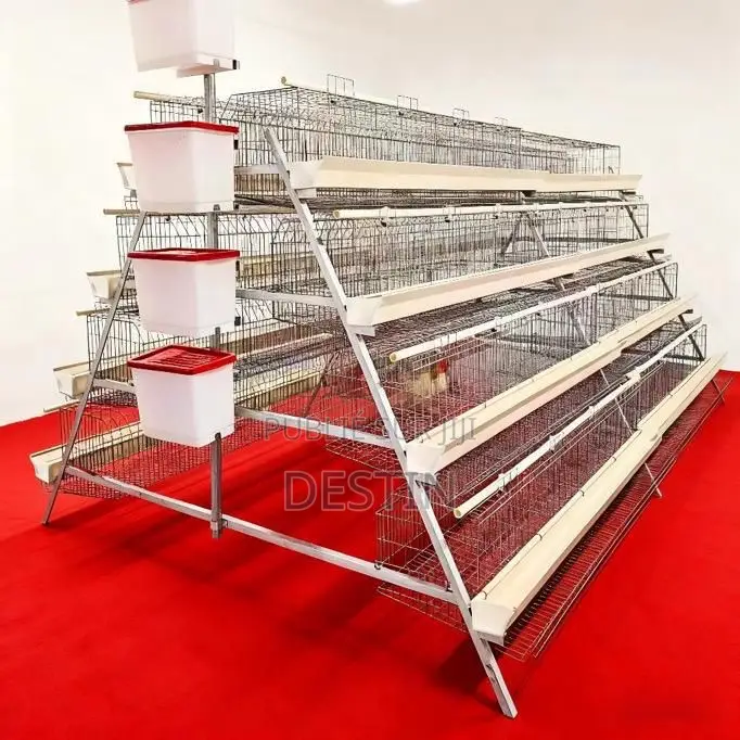 Cage a Batterie Pour Pondeuse