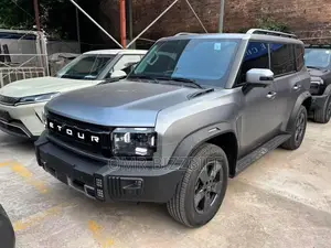 Nouveau Jetour T2 2024 Gris