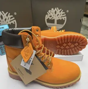 Chaussures Timberland