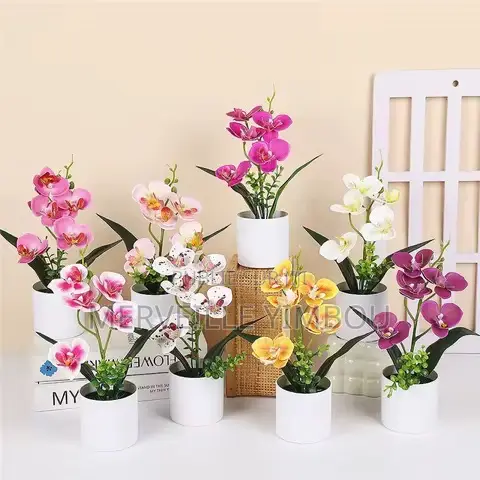 Décoration Maison