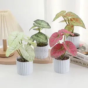 Décoration Maison
