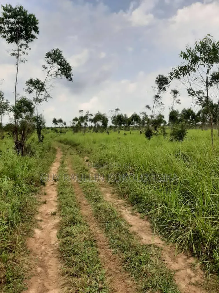 Plusieurs Blocs À Vendre À Pointe Noire
