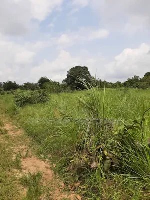 Plusieurs Blocs À Vendre À Pointe Noire