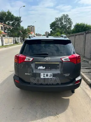 Toyota RAV4 2015 Gris