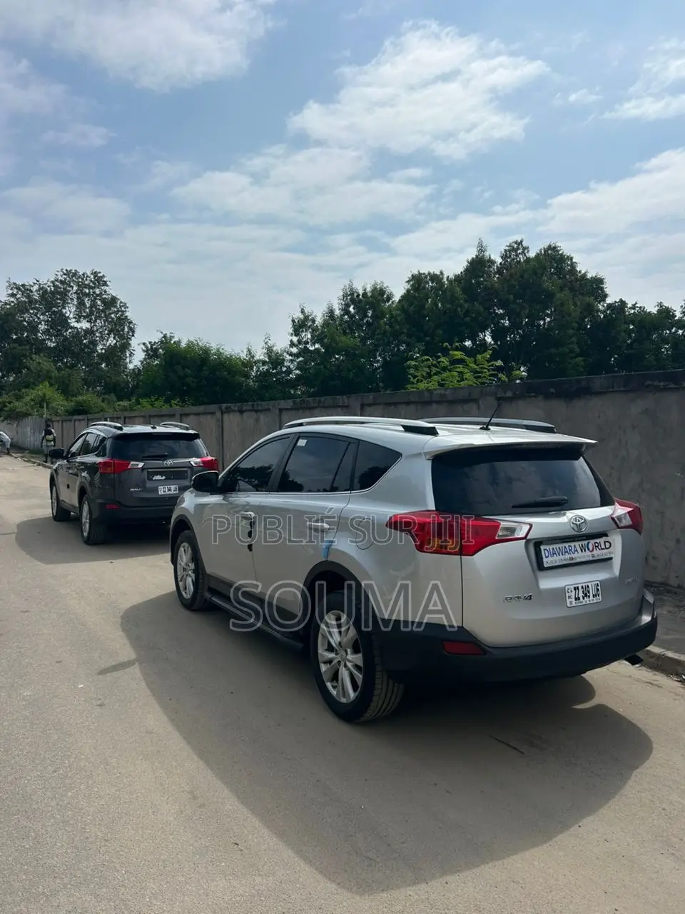 Toyota RAV4 2015 Gris