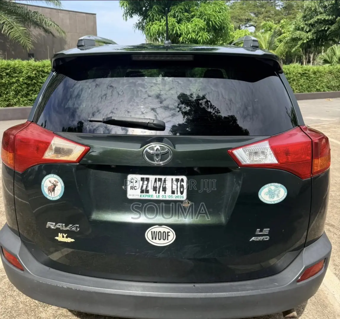 Toyota RAV4 2016 Vert