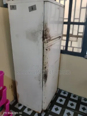 Frigo a Vendre