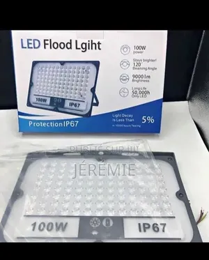 Projecteur Lumière 100w