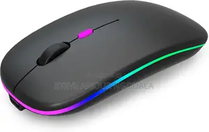 Souris Wireless Sans Fil + Bluetooth