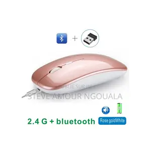 Souris Wireless Sans Fil + Bluetooth
