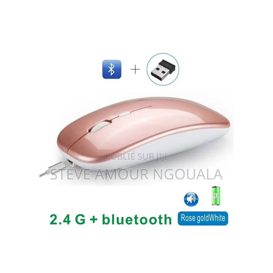 Souris Wireless Sans Fil + Bluetooth