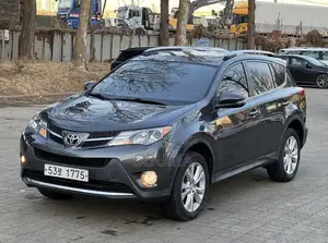 Toyota RAV4 2014 Gris