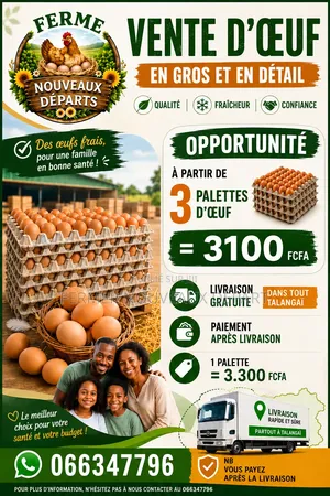 Vente d'Oeuf Et Réductions Pour Revendeurs
