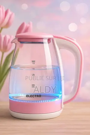 Bouilloire Électrique Transparente