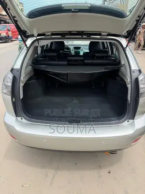 Lexus RX 2006 Gris