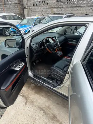 Lexus RX 2006 Gris