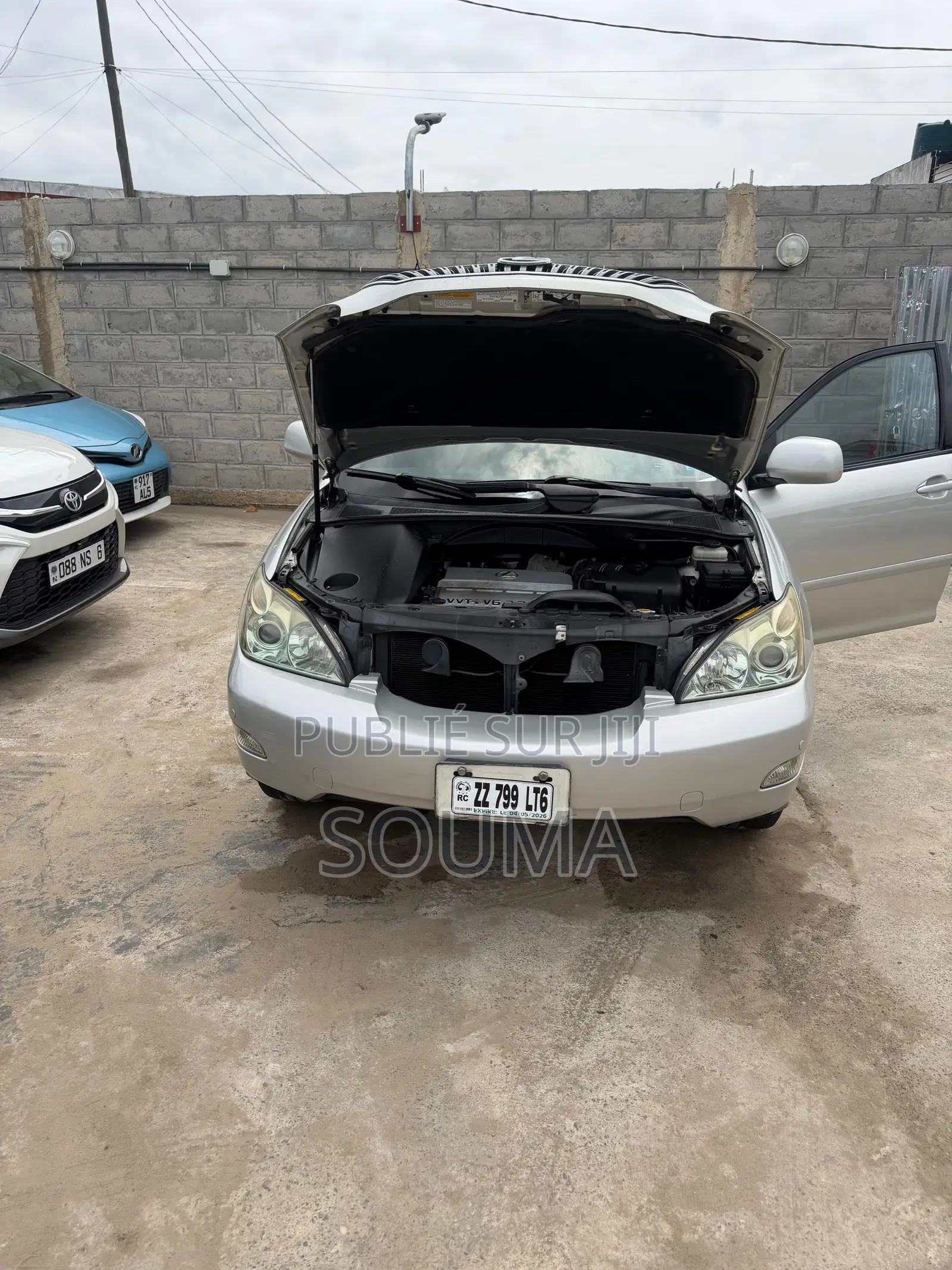 Lexus RX 2006 Gris
