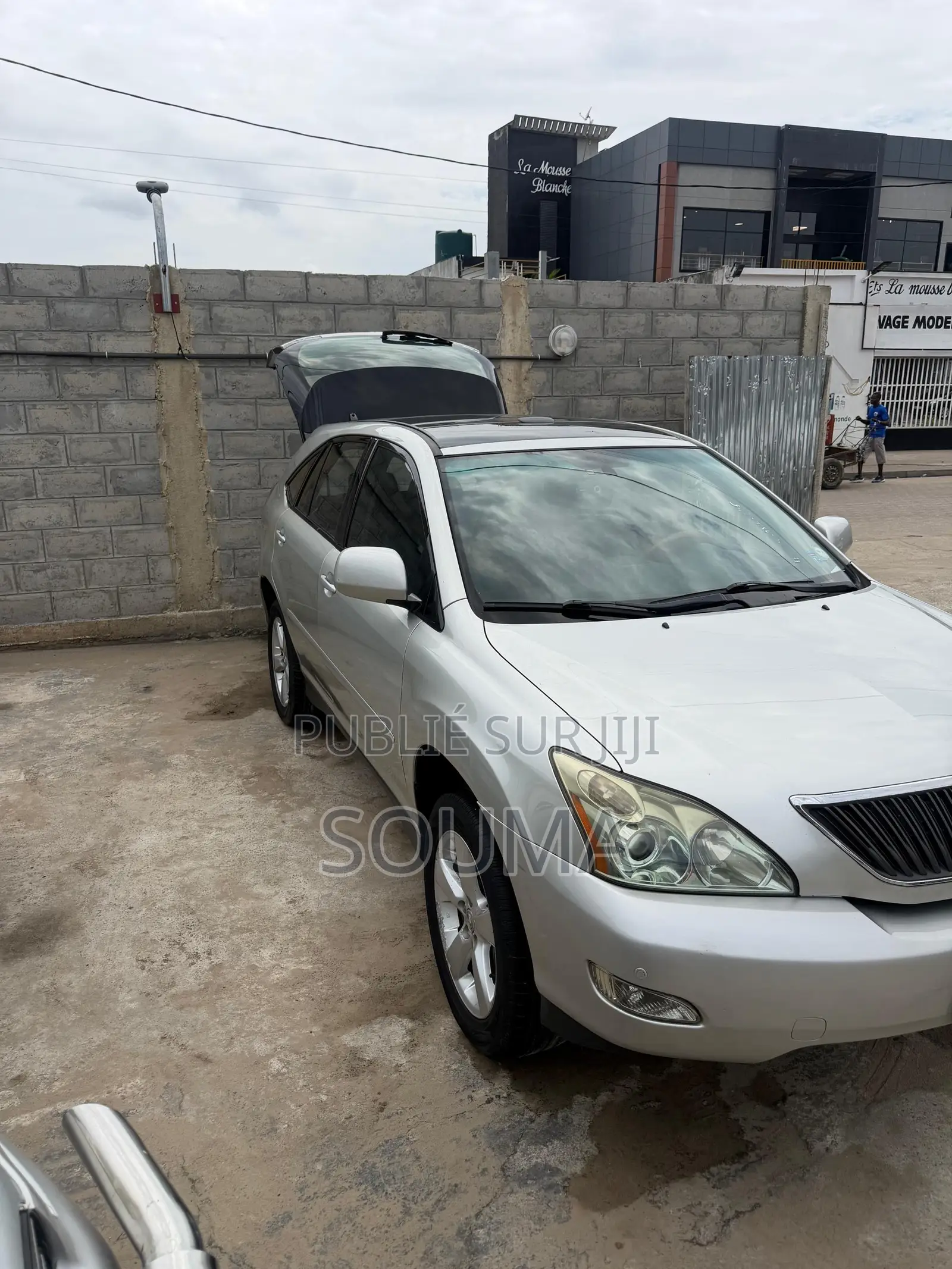 Lexus RX 2006 Gris