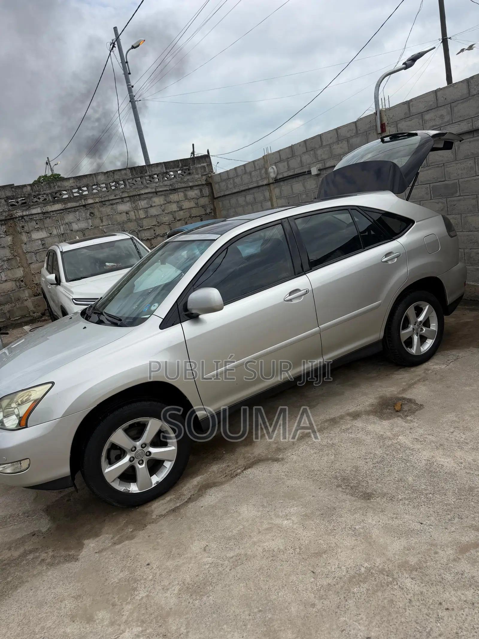 Lexus RX 2006 Gris