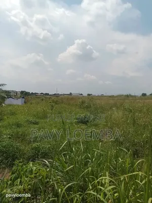 Terrain Vide À Vendre Non Loin Du Goudron