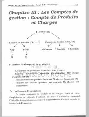 Guide Pratique De Comptabilité Générale