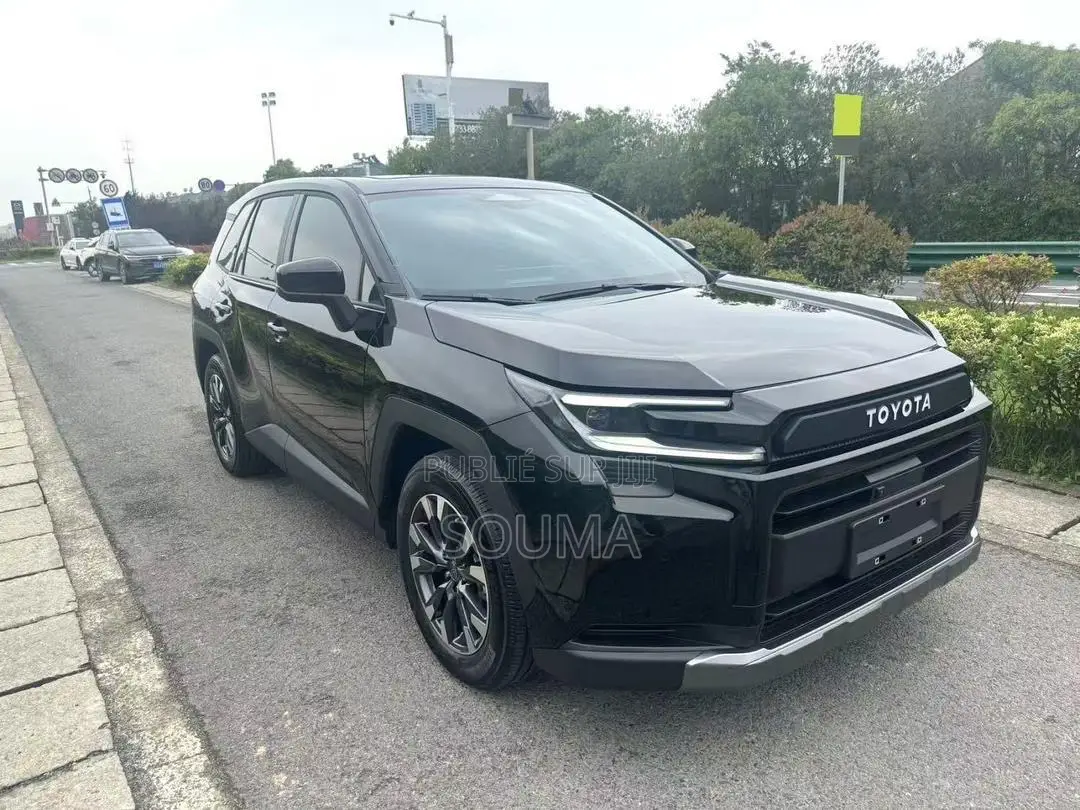 Toyota RAV4 2025 Noir