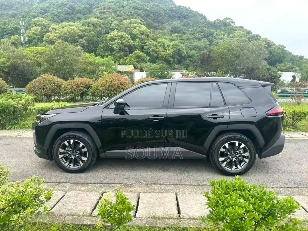 Toyota RAV4 2025 Noir