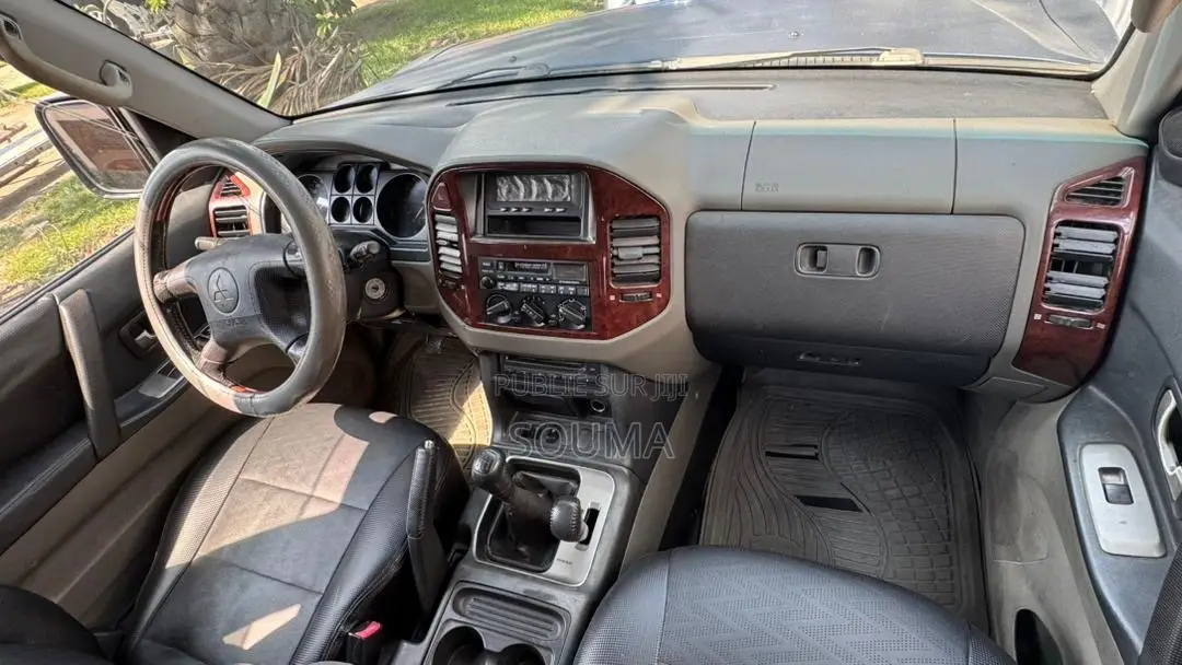 Mitsubishi Pajero 2005 Bleu