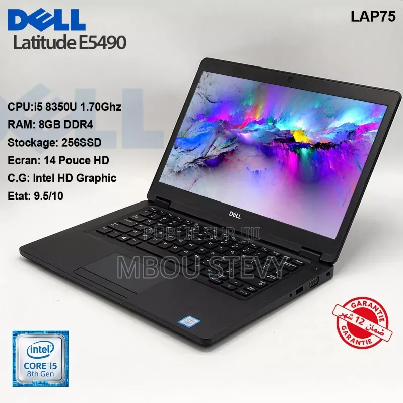 Ordinateur portable Dell Latitude 5490 8GB Intel Core i5 SSD 512GB