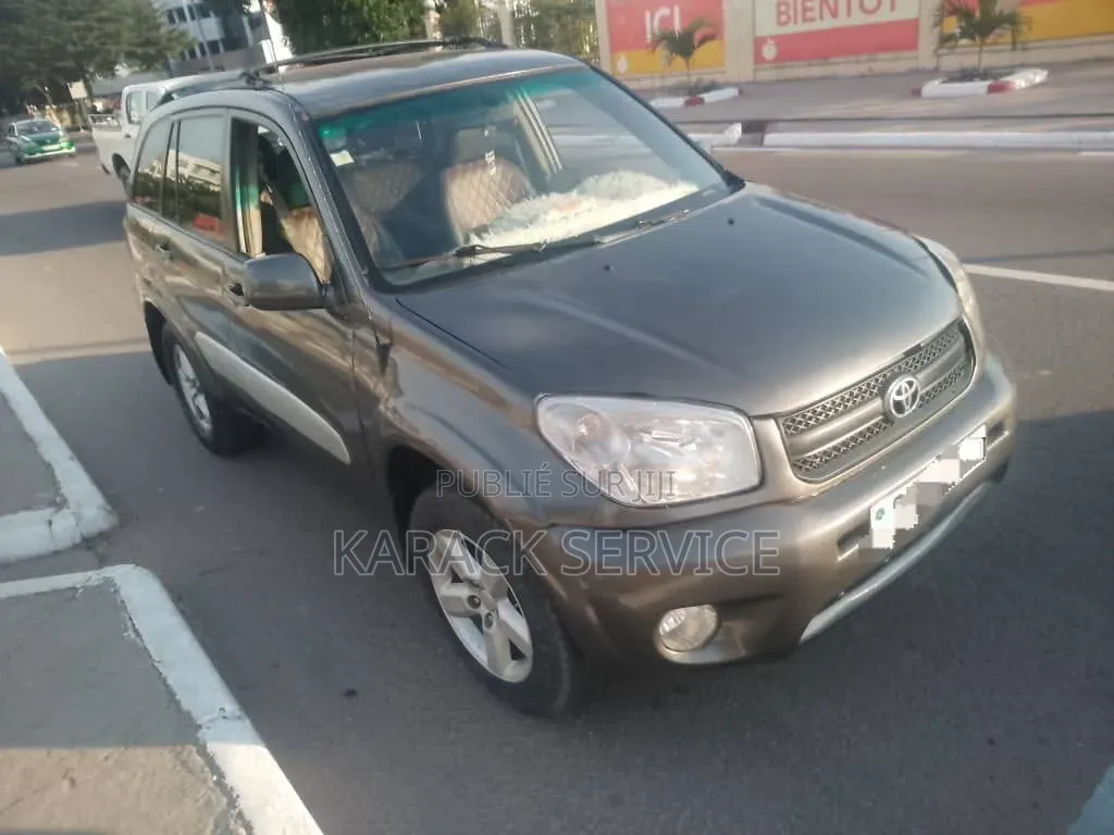 Toyota RAV4 2005 Gris