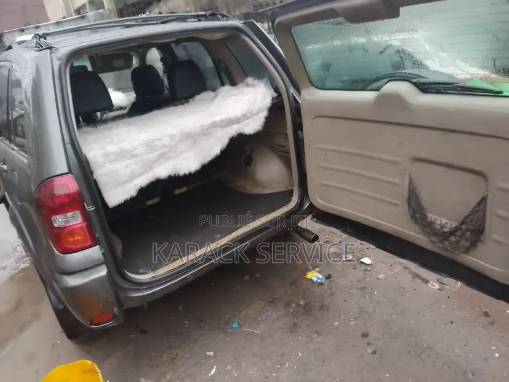 Toyota RAV4 2005 Gris