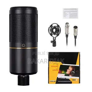 Microphone Condensateur