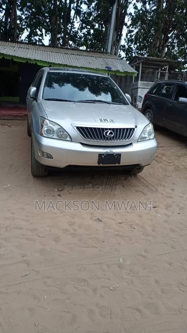 Lexus RX 2010 Beige