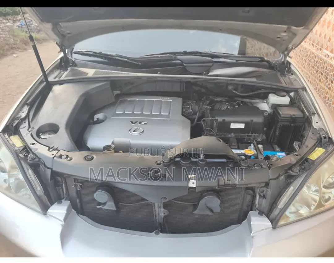 Lexus RX 2010 Beige