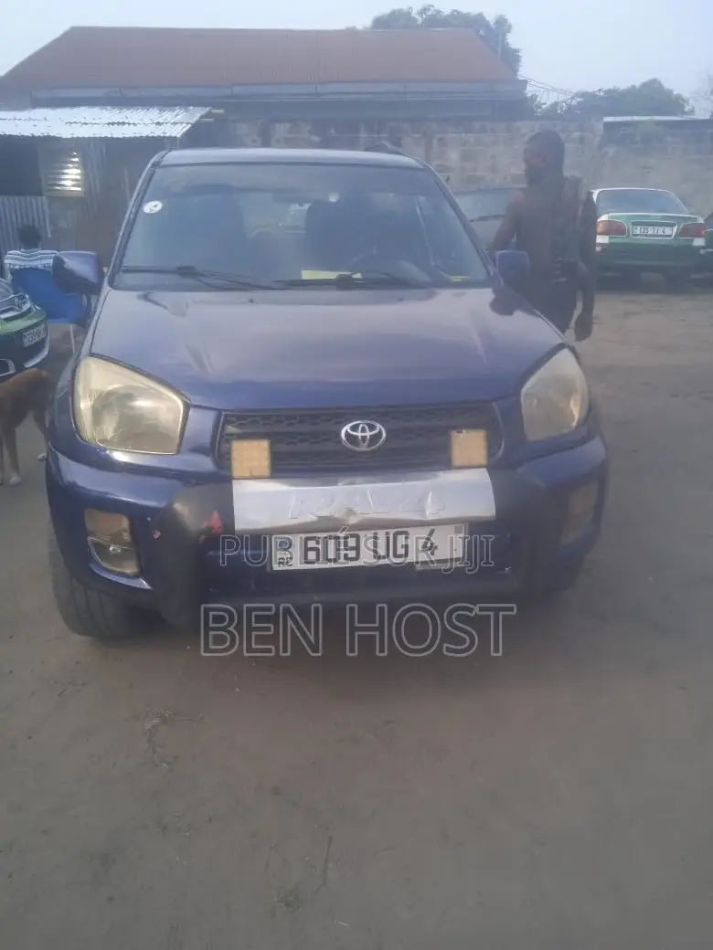 Toyota RAV4 2.5 Limited 4x4 2010 Violet