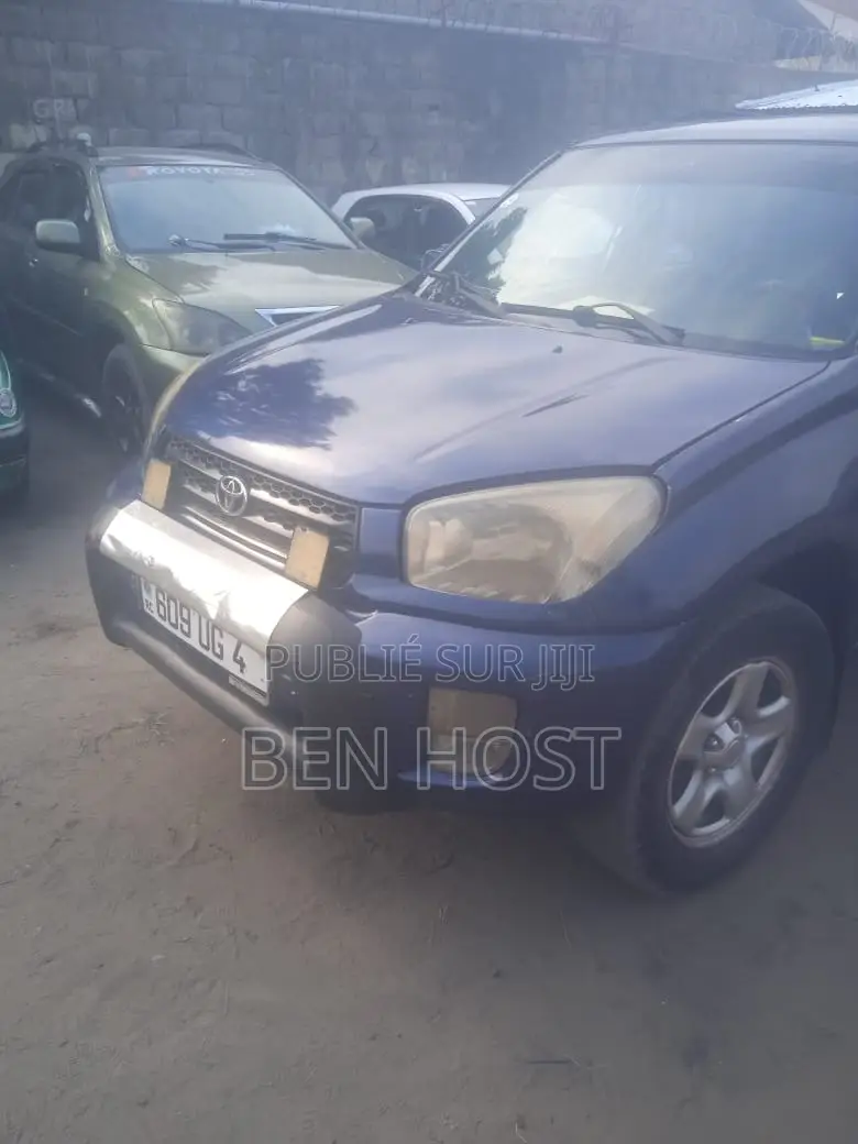 Toyota RAV4 2.5 Limited 4x4 2010 Violet