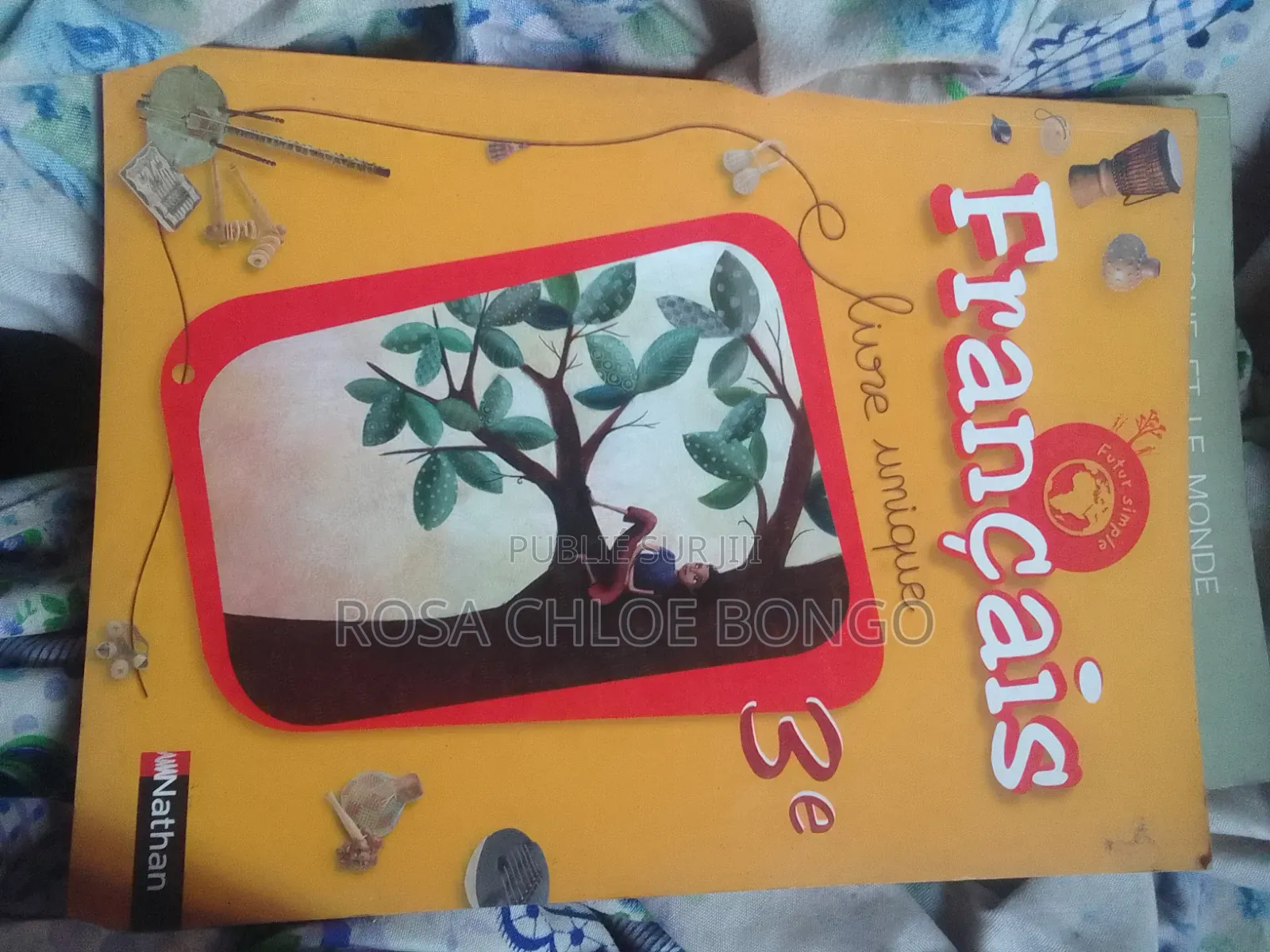 Français 3e - Livre Unique (Collection "Futur Simple", Nathan)