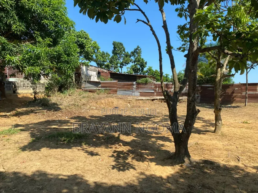 Parcelle a Vendre Sup 500m2 Quartier Makayabou