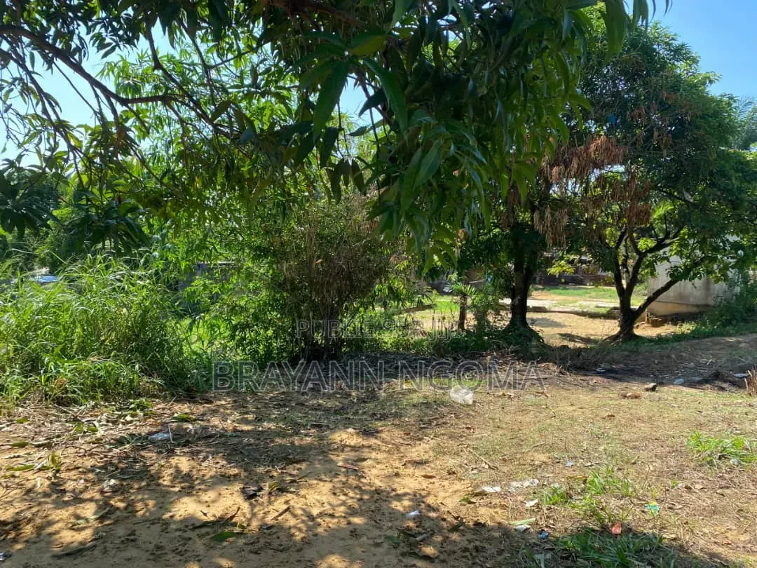 Parcelle a Vendre Sup 500m2 Quartier Makayabou