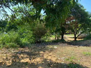 Parcelle a Vendre Sup 500m2 Quartier Makayabou