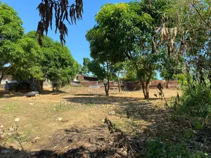 Parcelle a Vendre Sup 500m2 Quartier Makayabou