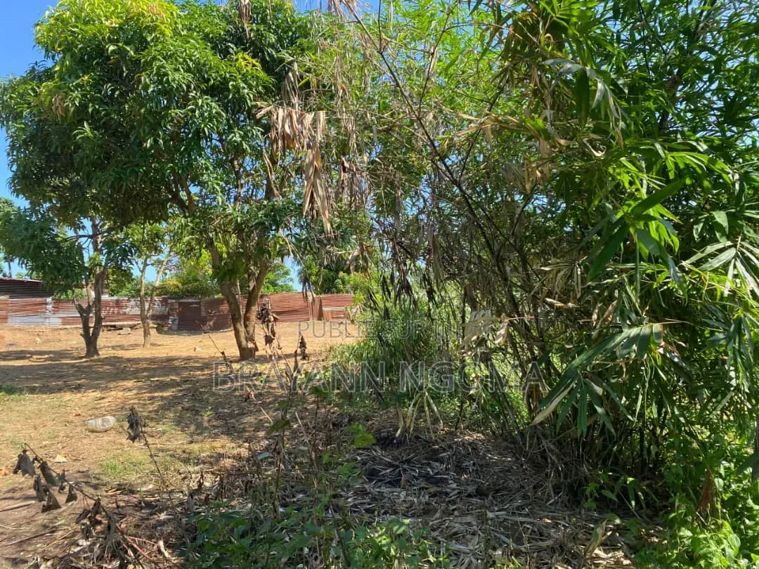 Parcelle a Vendre Sup 500m2 Quartier Makayabou