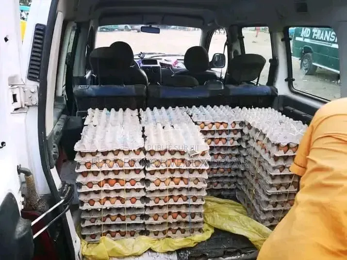 Vente d'Oeuf en Gros Et en Détail
