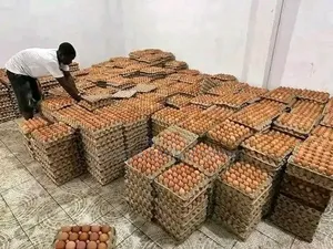 Vente d'Oeuf en Gros Et en Détail