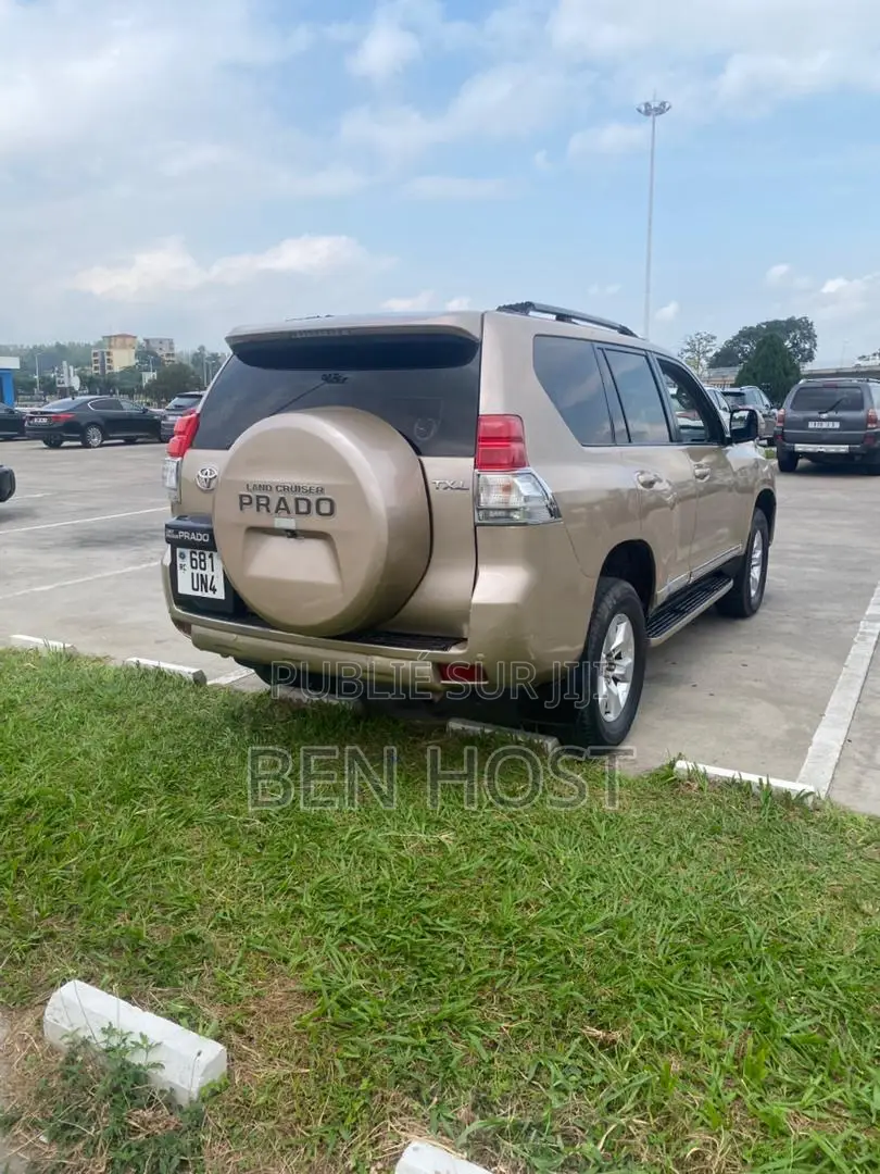 Toyota Land Cruiser Prado 4.0 Petrol TX-L 2015 Gris