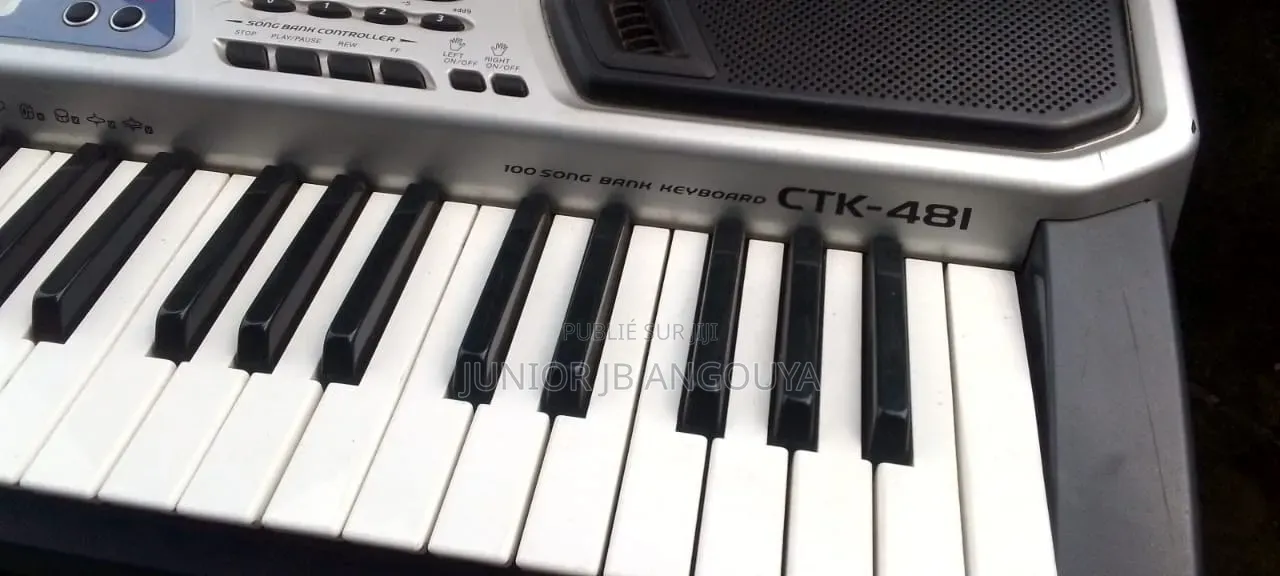 Piano Piano CTK 481 a Vendre