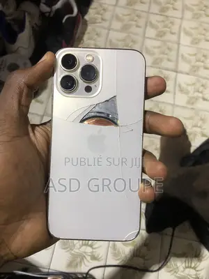Apple iPhone 13 Pro Max 256 GB Doré