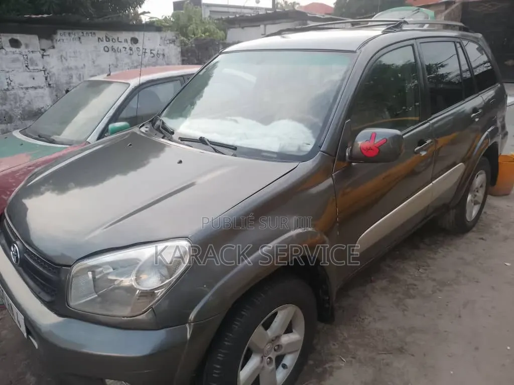 Toyota RAV4 2018 Gris