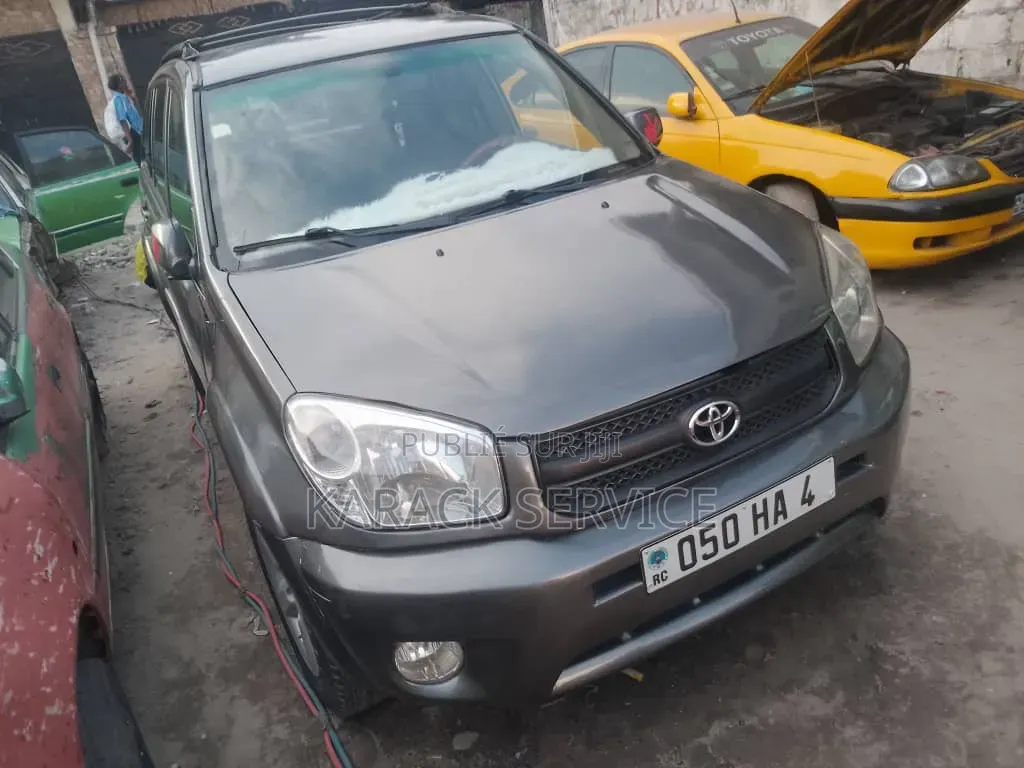 Toyota RAV4 2018 Gris