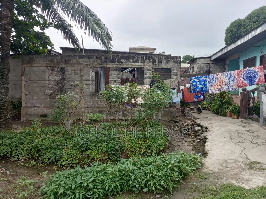 Parcelle À Vendre Au Quartier Louandjili Vers Balou Constant